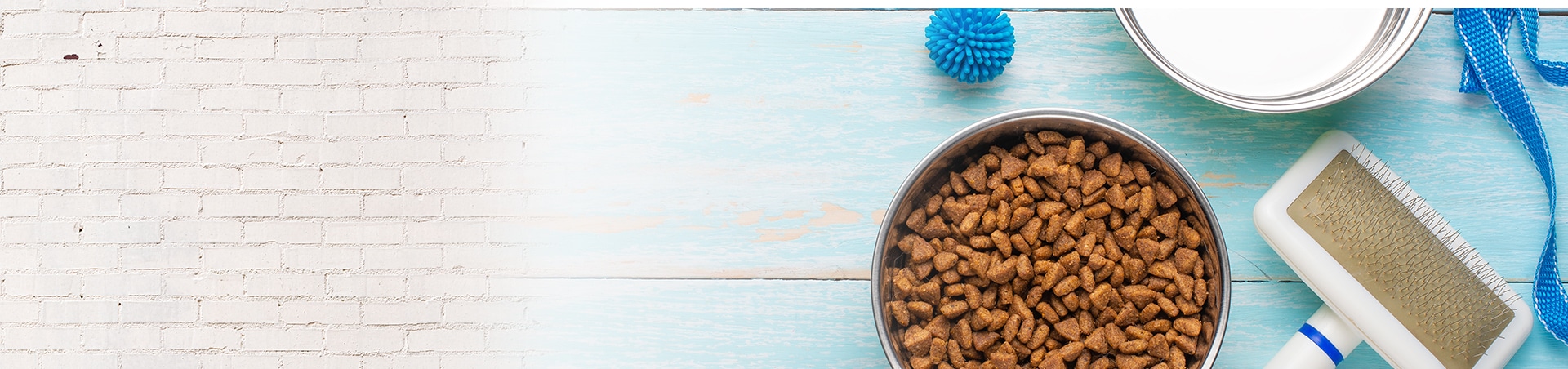 犬を飼うのに必要なもの